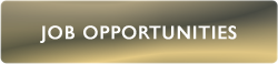 Job Opportunity